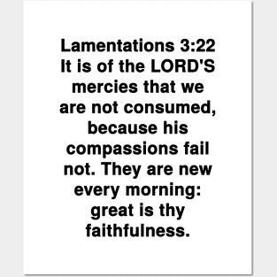 Lamentations 3:22 King James Version Bible Verse Typography Posters and Art